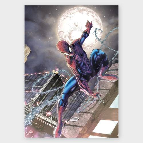 Spider-man Print